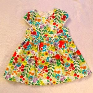 Cherokee Girls Floral Dress 18M